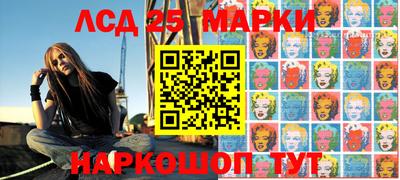 гидропоника Новокубанск