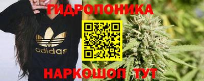 метадон Новодвинск