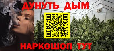 соль ск Новозыбков