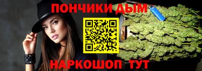 метадон Новодвинск