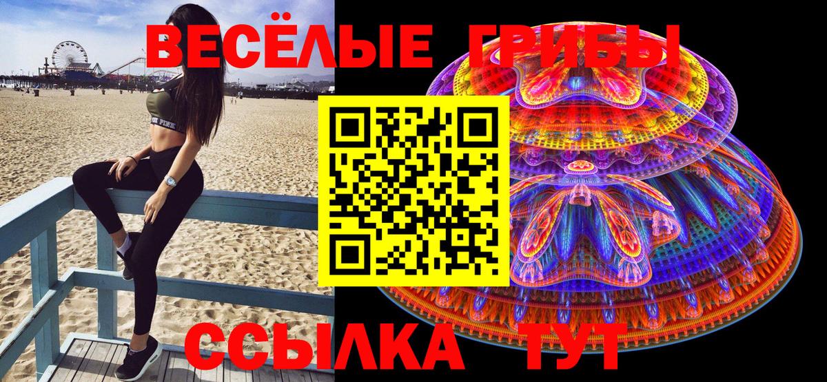 Канабис  Скопин  LSD-25  ГАШ  Вход с VPN  Меф МЯУ МЯУ   Кокаин 