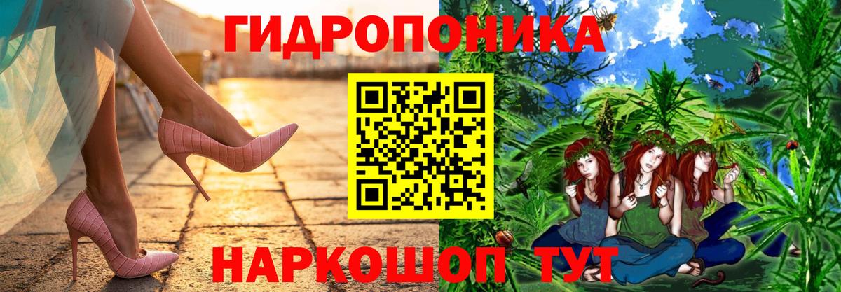 Бошки Шишки конопля Скопин